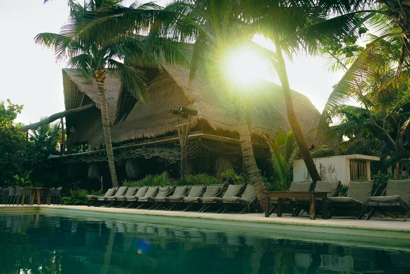 Mia Tulum Beachfront Resort - Ocean View Suites And Beach Club Hotel Tulum