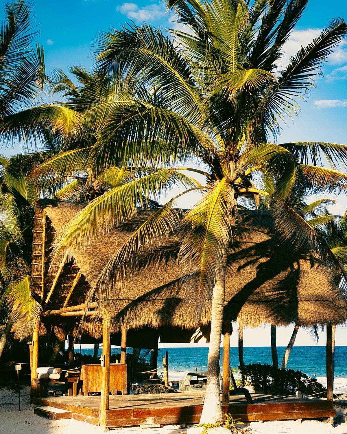 Mia Tulum Beachfront Resort - Ocean View Suites And Beach Club Hotel
